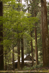 高山寺