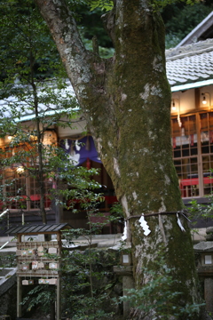 吉川八幡宮
