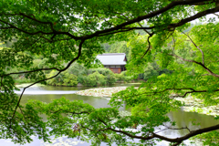 京都 龍安寺