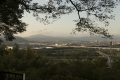 石清水八幡宮