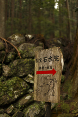 高山寺