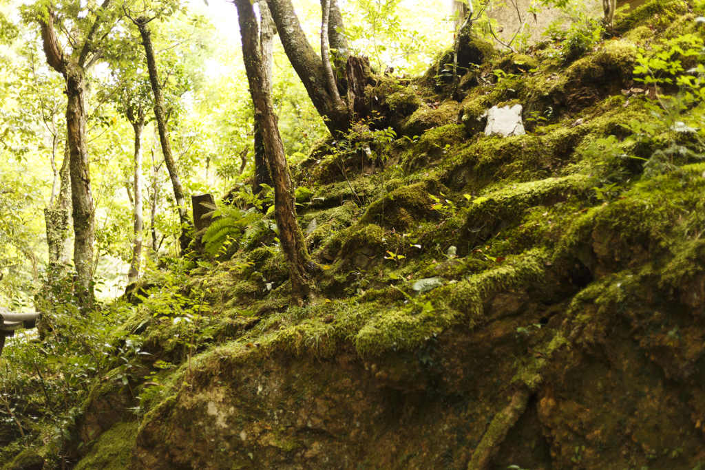 高山寺