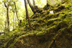 高山寺