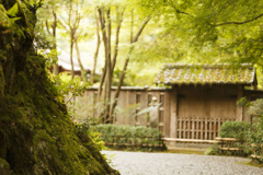 高山寺