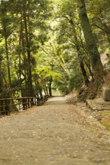 高山寺