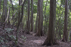 半国山