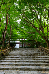 京都 龍安寺