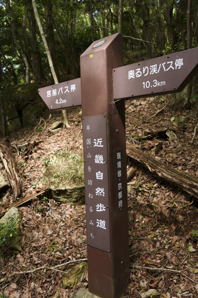 半国山