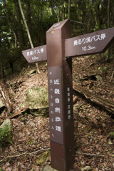 半国山