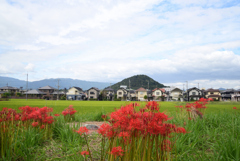 220921a本薬師寺跡05