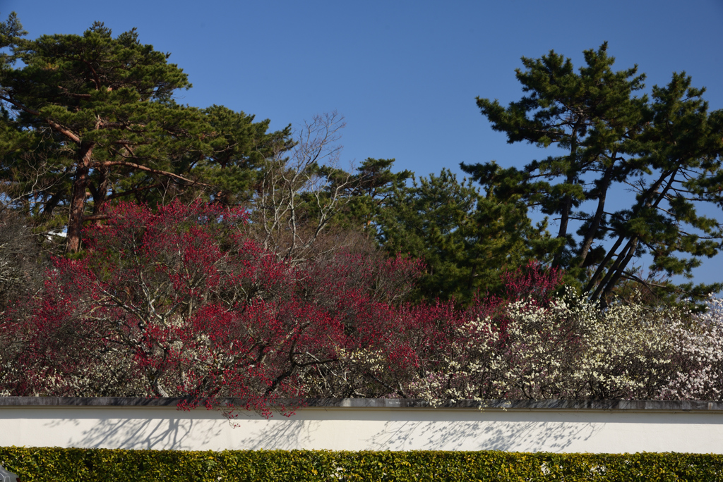 190226b大和文華館55