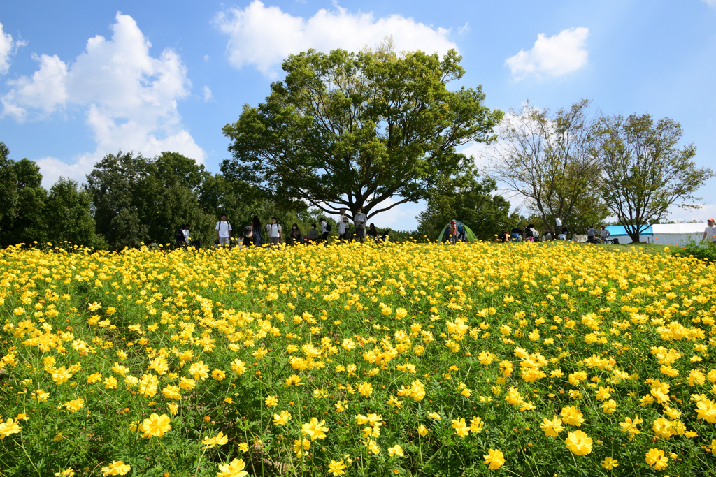 221001万博公園12