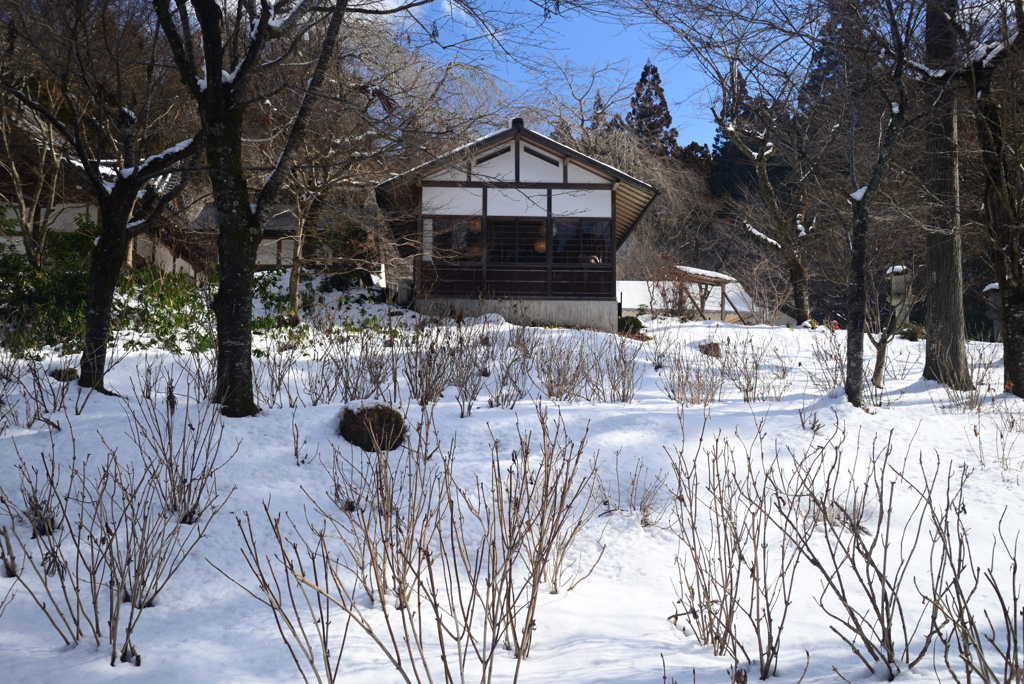 250210a大原三千院44