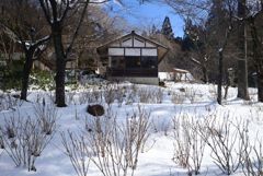 250210a大原三千院44