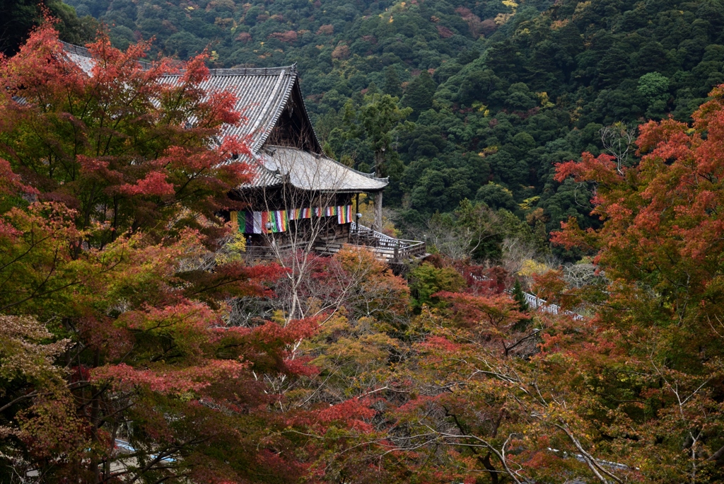 181114a長谷寺42