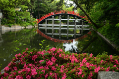 250523b住吉大社05