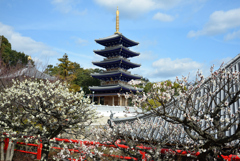 200219中山寺56 200219中山寺56