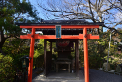 250121a龍安寺03