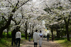 250408a大阪城10