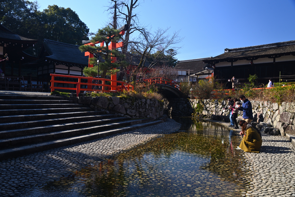 220102a下鴨神社16