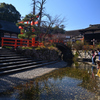 220102a下鴨神社16