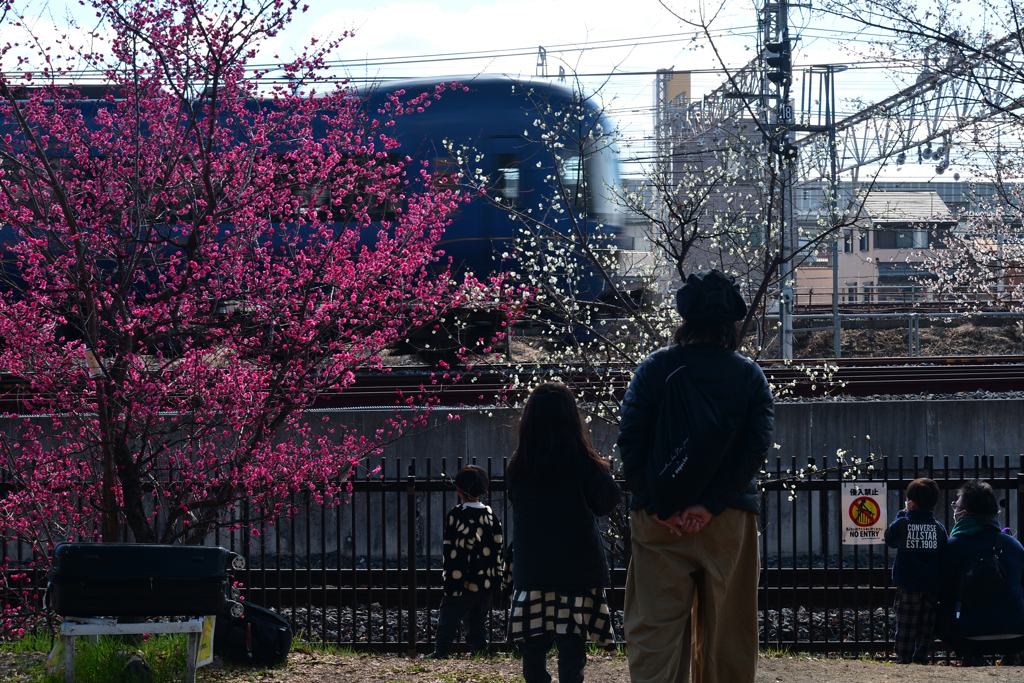 240212c梅小路公園29