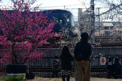 240212c梅小路公園29