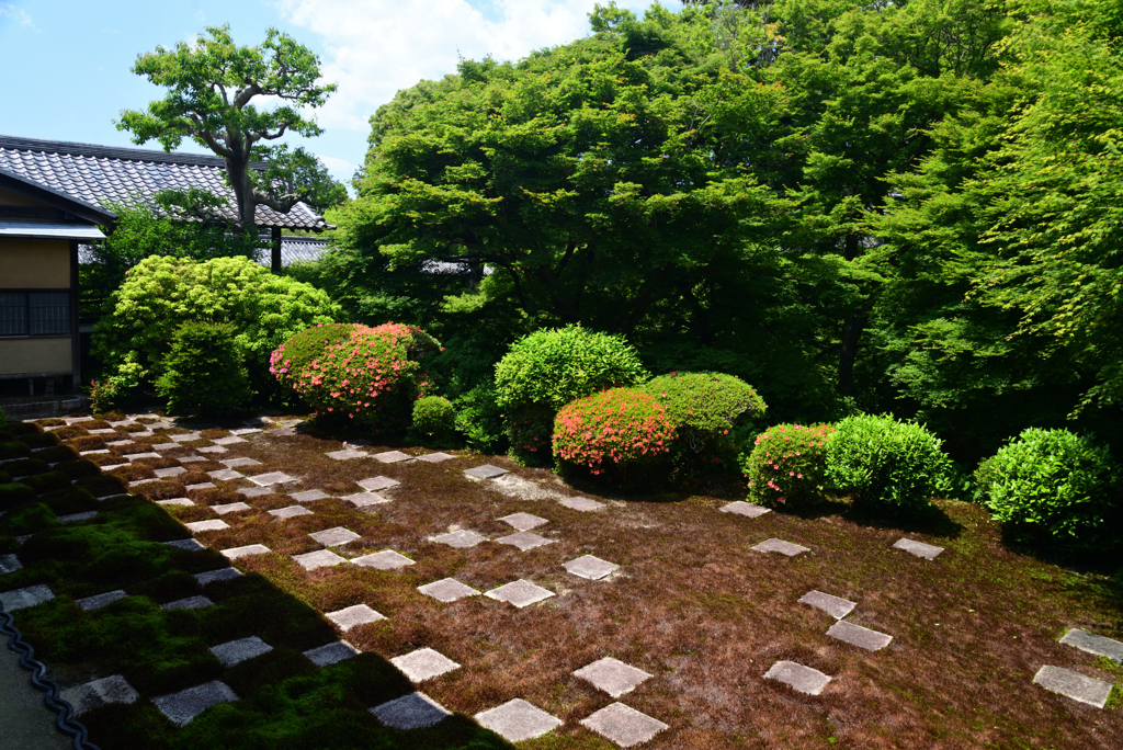 220522d東福寺45