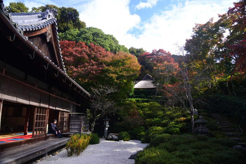 241123b金福寺05