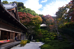 241123b金福寺05
