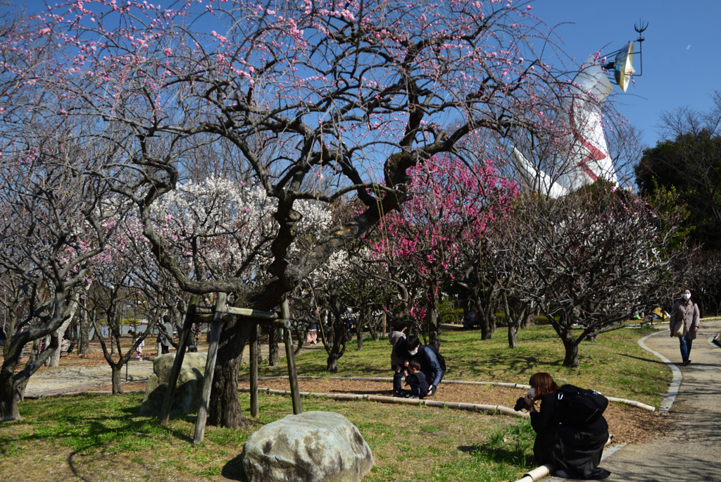 210220万博公園42