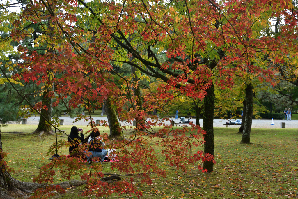 251104京都御苑24