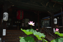 200716b行願寺15