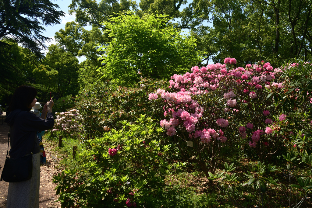 220503d京都植物園46