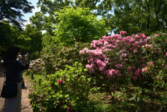 220503d京都植物園46