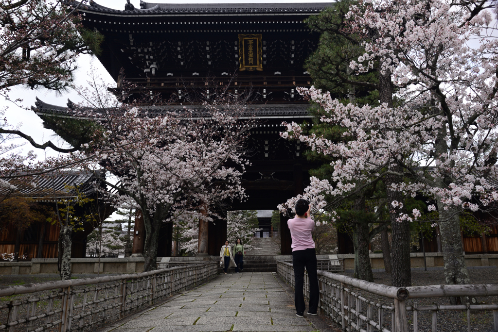 240404c金戒光明寺32