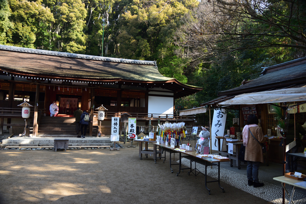 210115d宇治上神社27