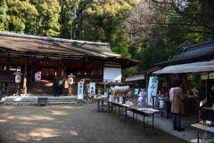 210115d宇治上神社27