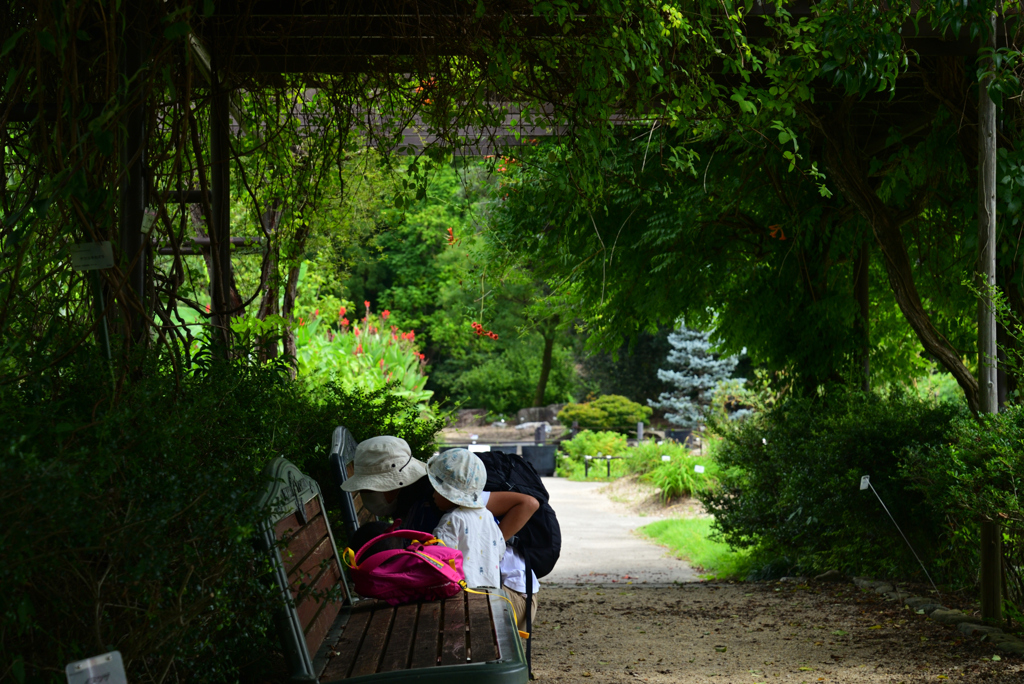220823京都植物園44