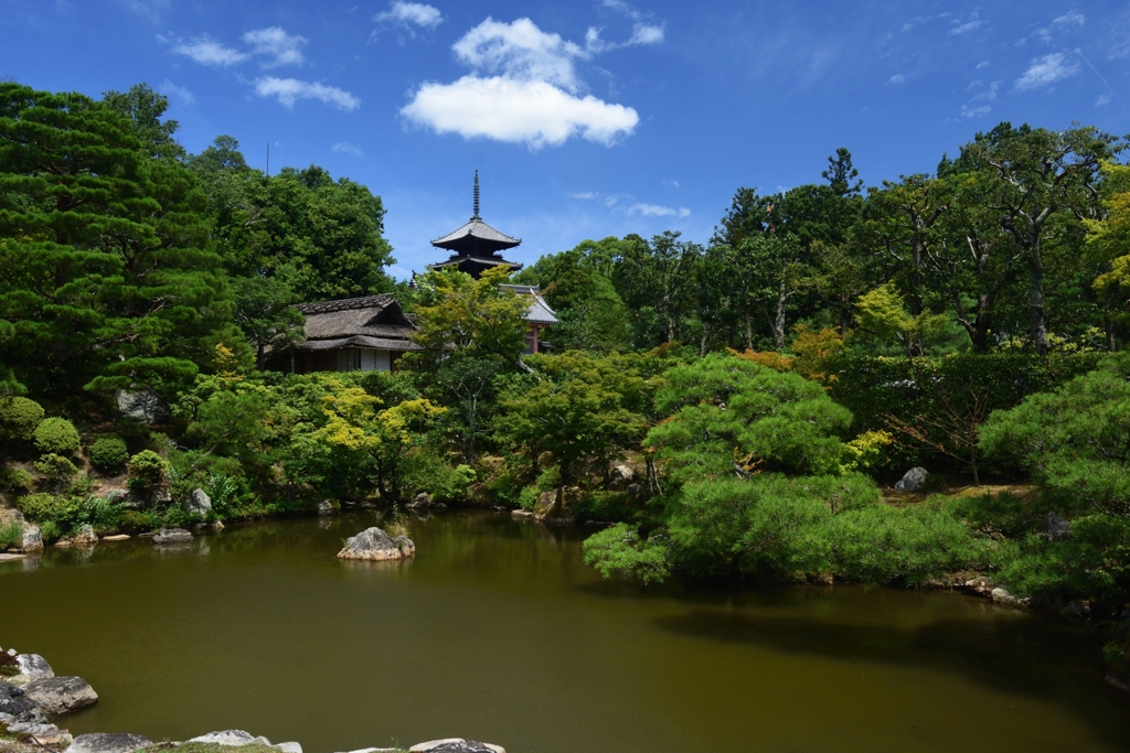 180817b仁和寺20+