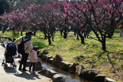 210220万博公園46