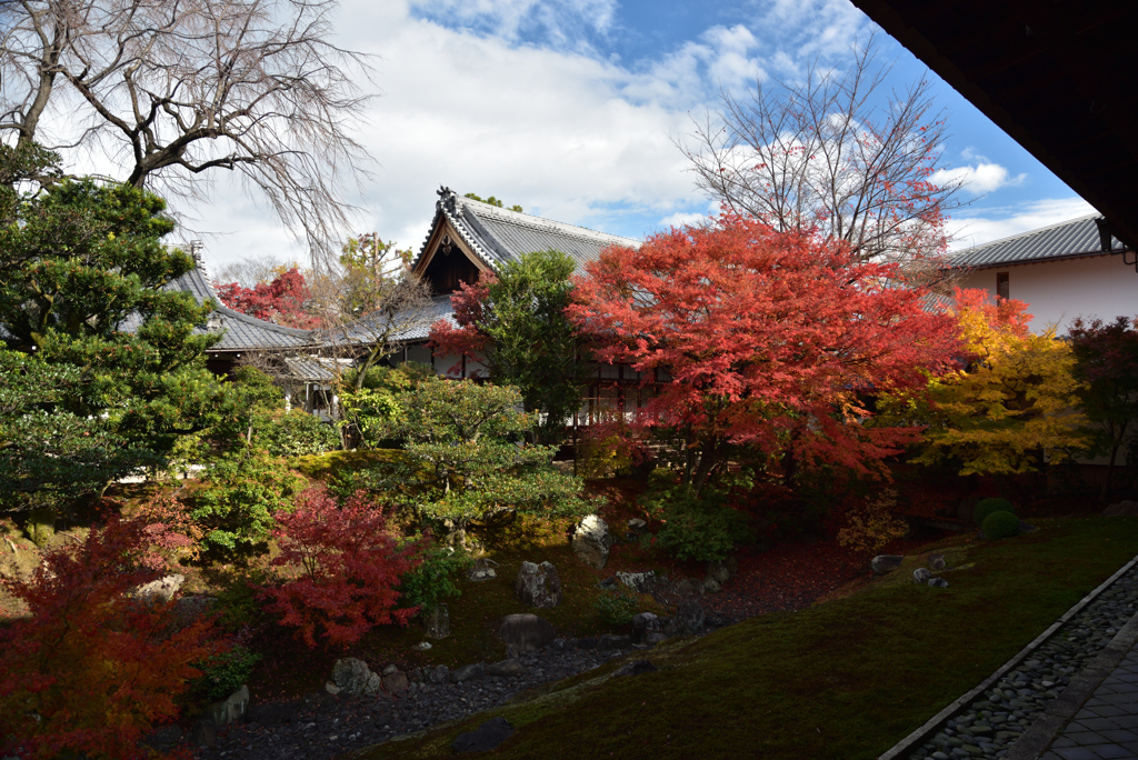 191204a相国寺17