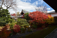 191204a相国寺17