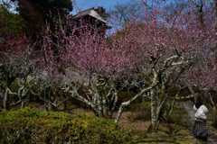 240224a石山寺06