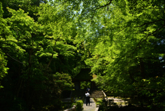 220529a法然院09