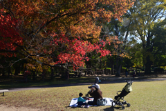 241125a京都植物園18