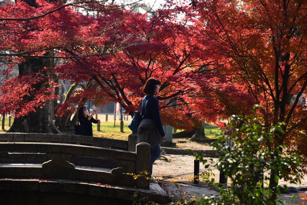 181127d上賀茂神社28