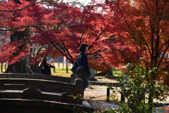 181127d上賀茂神社28