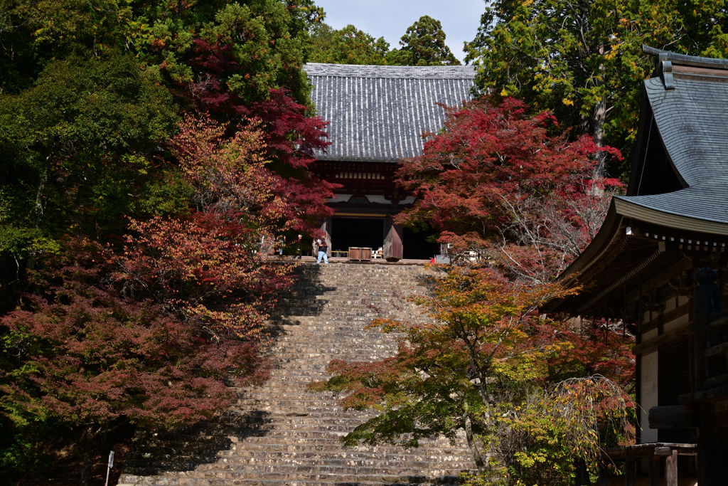 231102b神護寺35