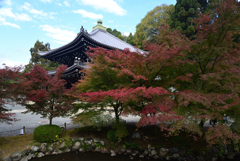 211114c知恩院17